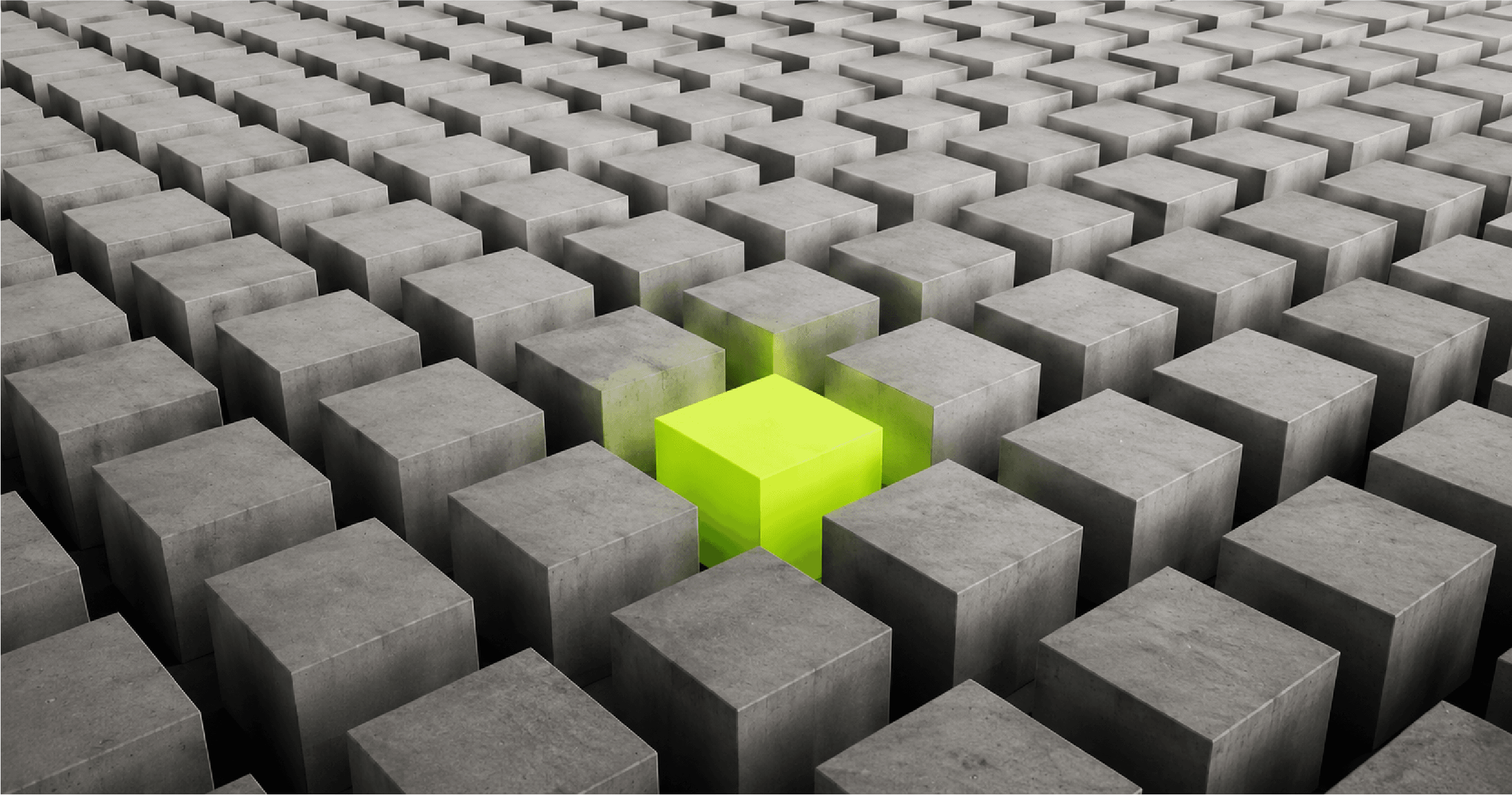 Everyone has AI. Not everyone knows what to build.